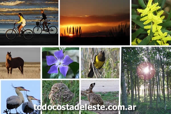 escapada de primavera a La Costa Argentina