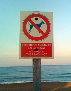 playa-animales-mascotas