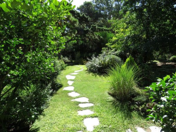 Jardín en Costa del Este
