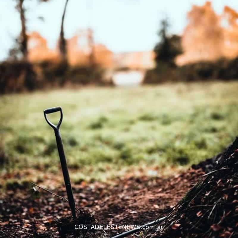 Consejos de Jardinería La Costa