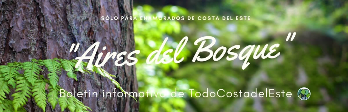 Boletín informativo de Todo Costa del Este "Aires del Bosque" Suscribite gratis con tu email