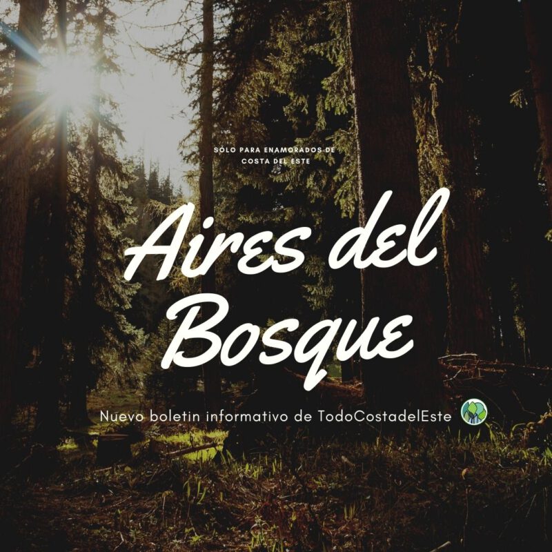 Aires del Bosque