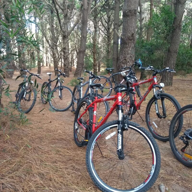 bicicleta es Costa del Este