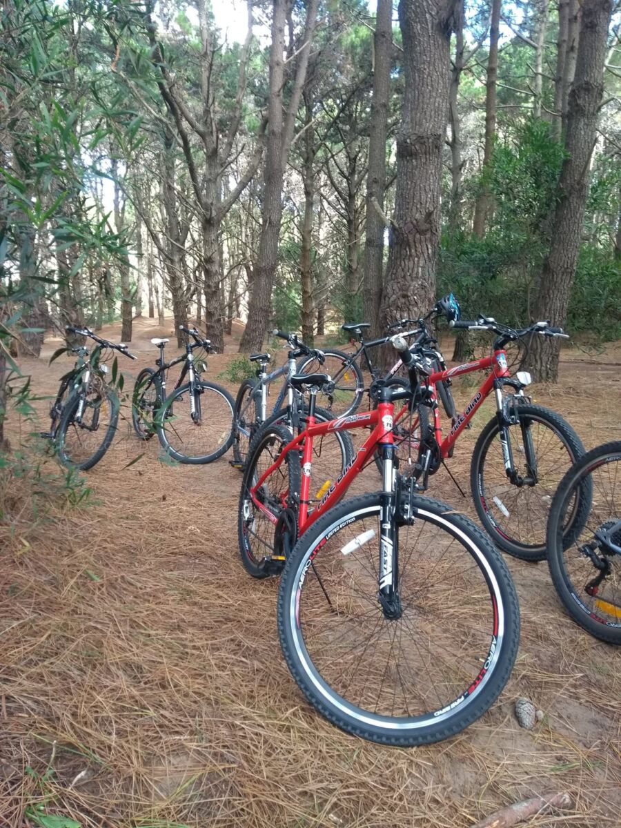bicicleta es Costa del Este