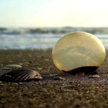 Huevos en la playa de La Costa
