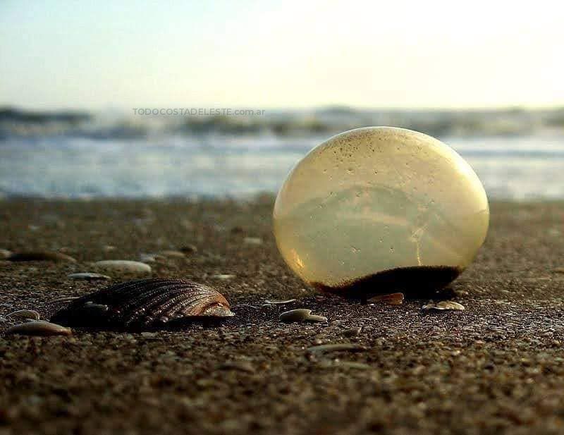 Huevos en la playa de La Costa