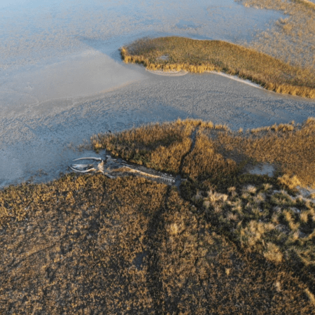 Reserva Natural Marismas del Tuyú