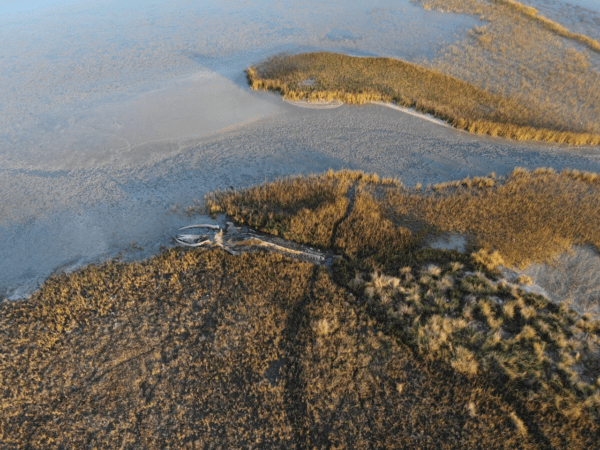 Reserva Natural Marismas del Tuyú
