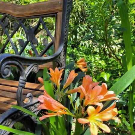 Consejos de jardinería para octubre