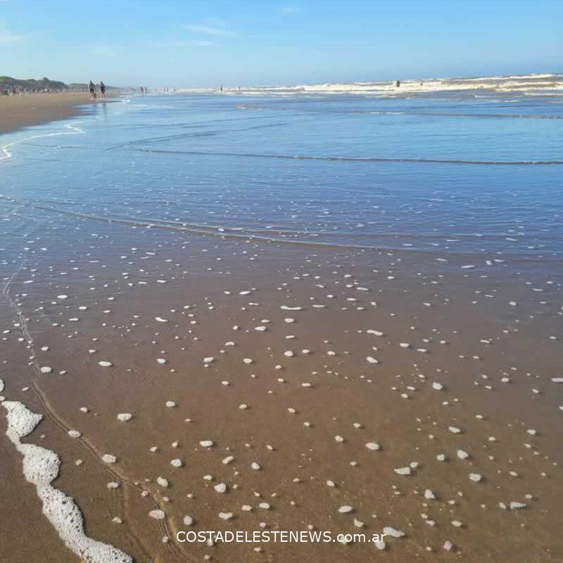 Marzo en Costa del Este - MODO ALDEA 👣 en la playa