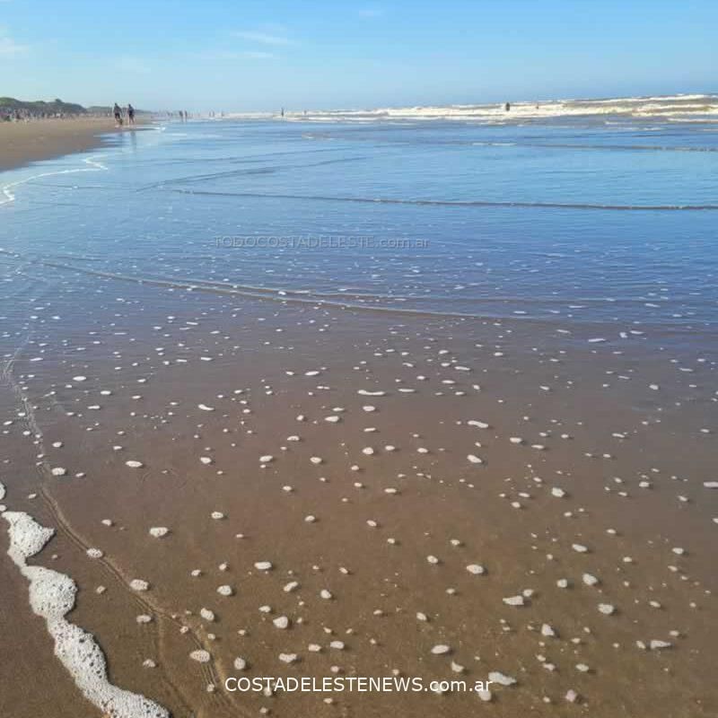 Marzo en Costa del Este - MODO ALDEA 👣 en la playa