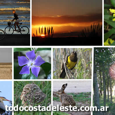 escapada de primavera a La Costa Argentina