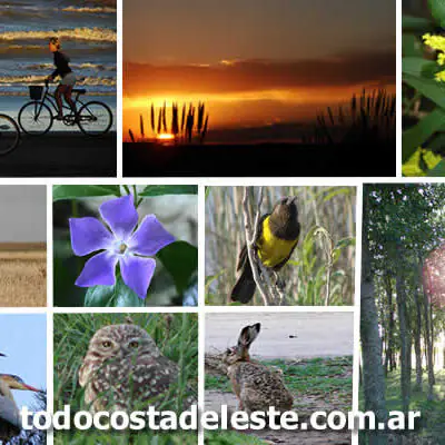 escapada de primavera a La Costa Argentina